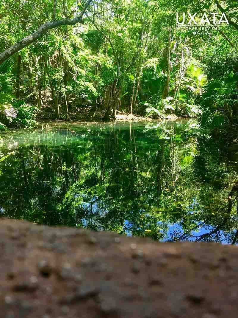 Cenote in Tankah, Riviera Maya, Mexico
