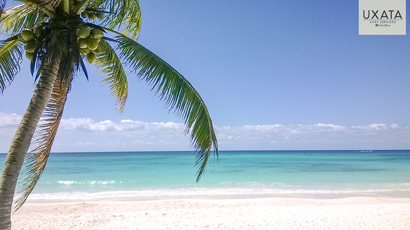 A coconut tree, white caribbean sand and turquoise waters in Soliman Bay, Riviera Maya